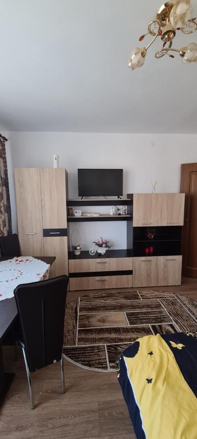 Апартаменти Casa Suzana П'ятра-Нямц Екстер'єр фото